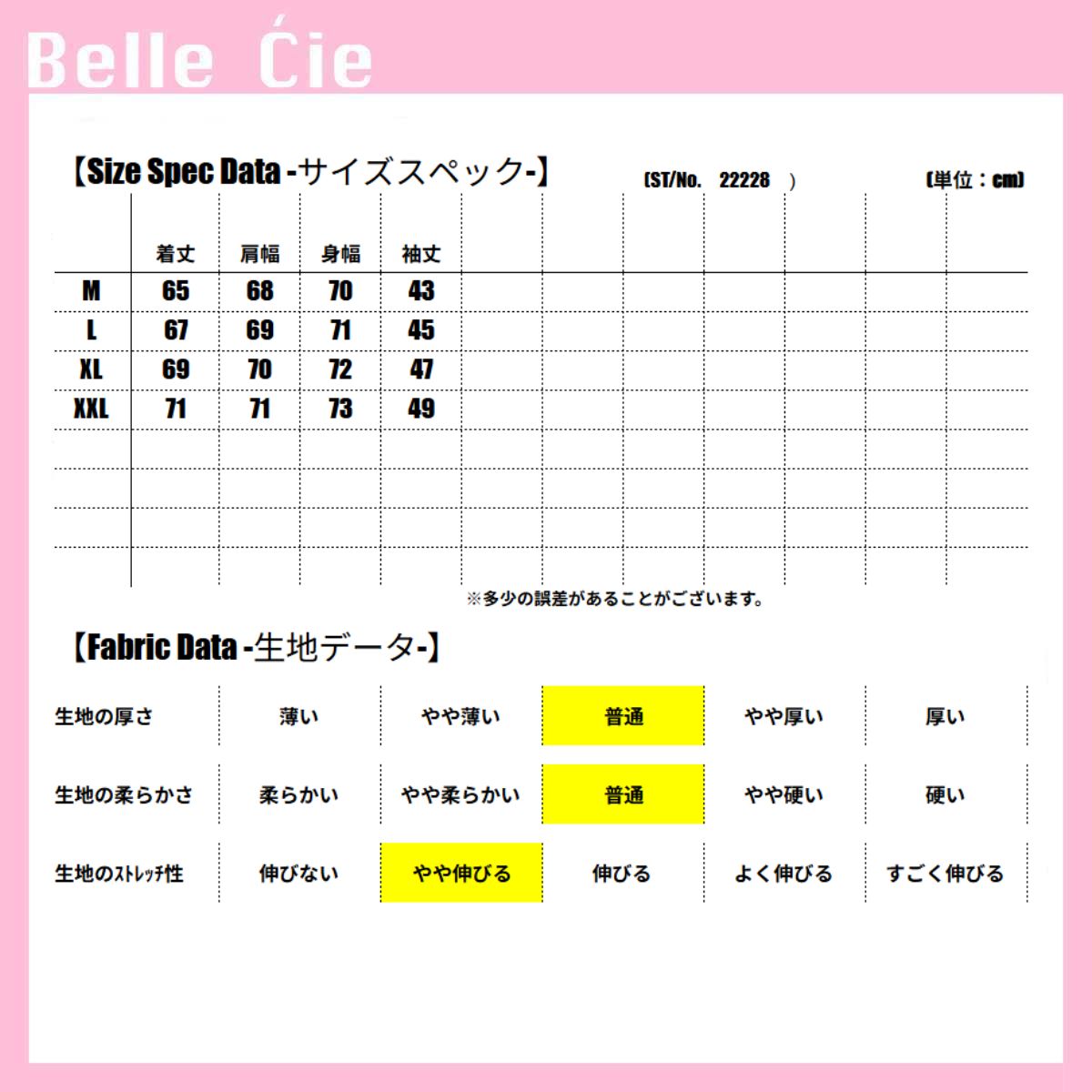 Parka/ビッグロゴ裏起毛フードパーカー ST/No.22228
