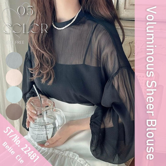 Blouse/ボリュームシアーブラウス ST/No.22481