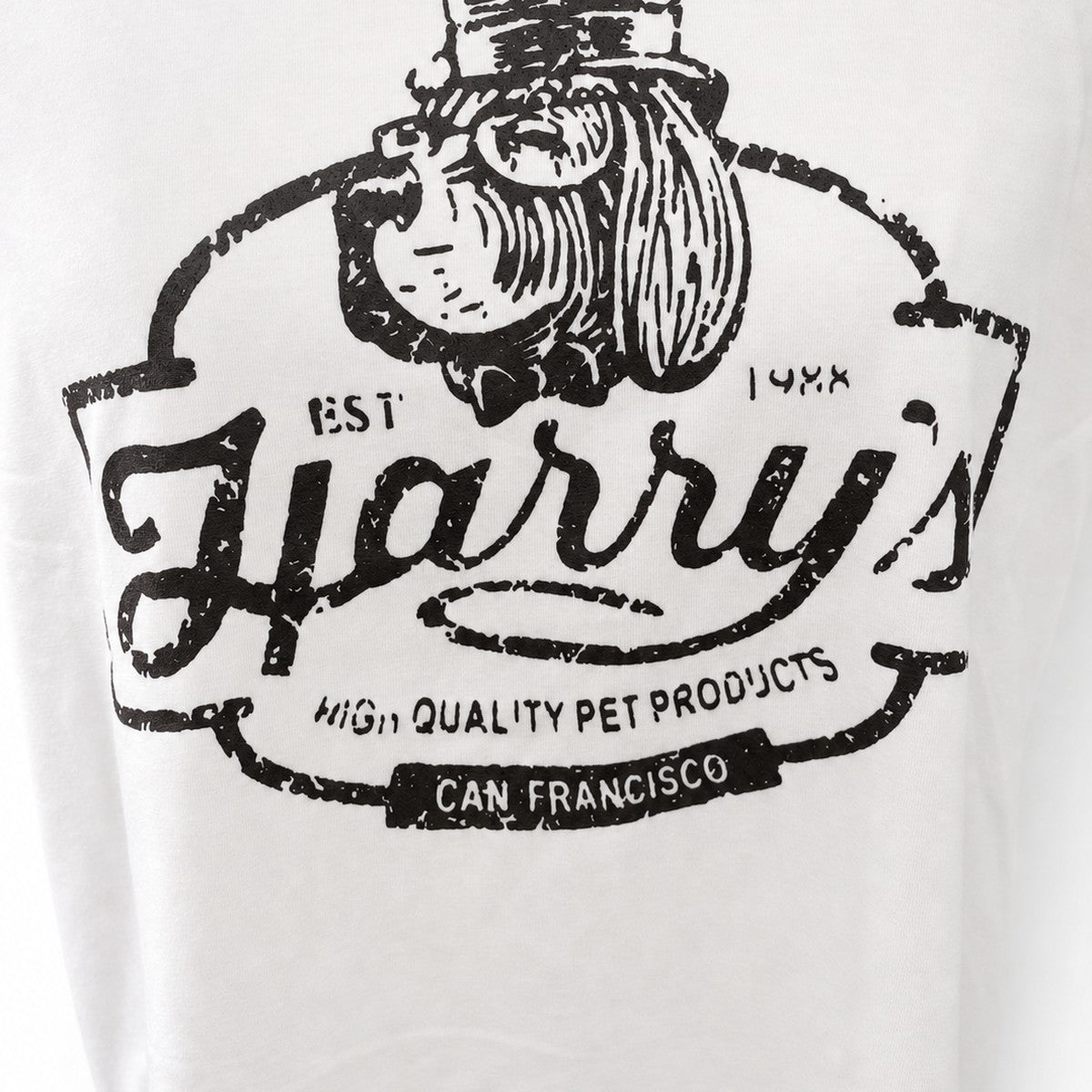 半袖Tシャツ オフホワイト 実物撮影 デザイン部分