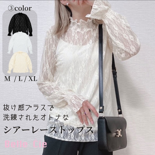 Blouse/ハイネックシアー小花長袖トップス ST/No.27828